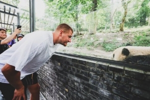 都是宝掘金官博晒约基奇&大熊猫合照：塞尔维亚国宝&中国国宝