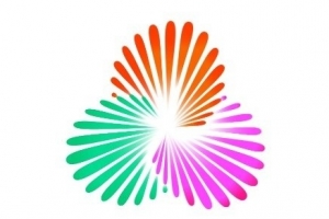 全运会女足成年组分组：广东、北京同在A组，上海、山东同在B组