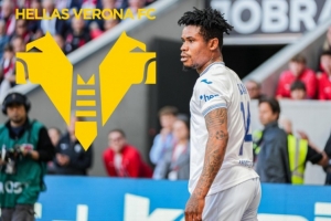 记者：先租后买，维罗纳引进霍芬海姆前锋奥尔班达协议