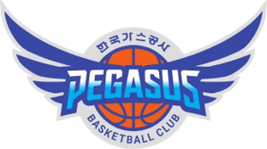 大邱石油公社飞马